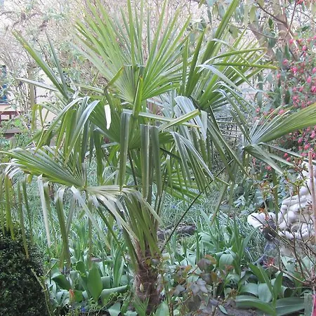 Gæstehus Spitzenhoernbucht Wolgast