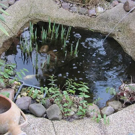 Spitzenhoernbucht 3* Wolgast