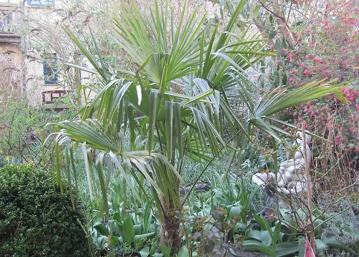 Pensjonat Spitzenhoernbucht Wolgast